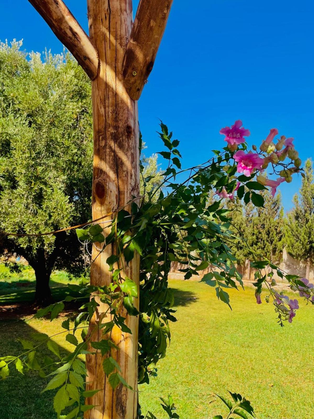 Riad Sabidi As-Sawíra Exteriér fotografie