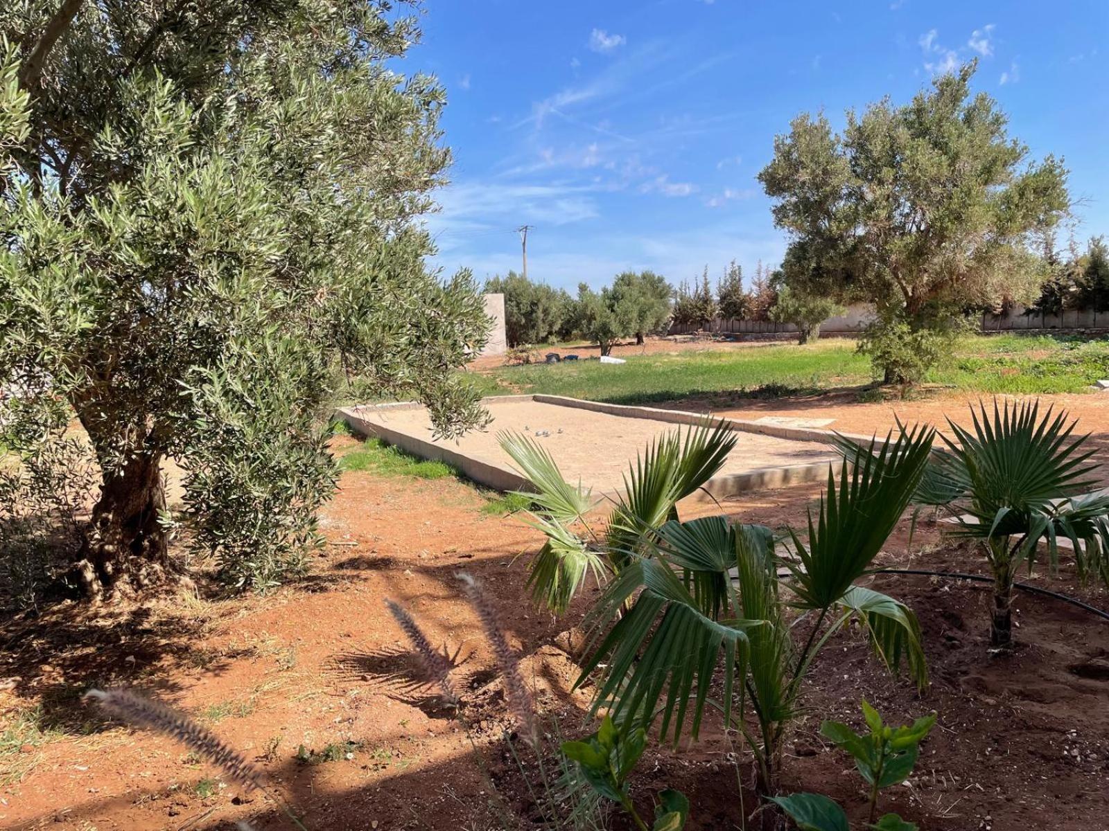 Riad Sabidi As-Sawíra Exteriér fotografie