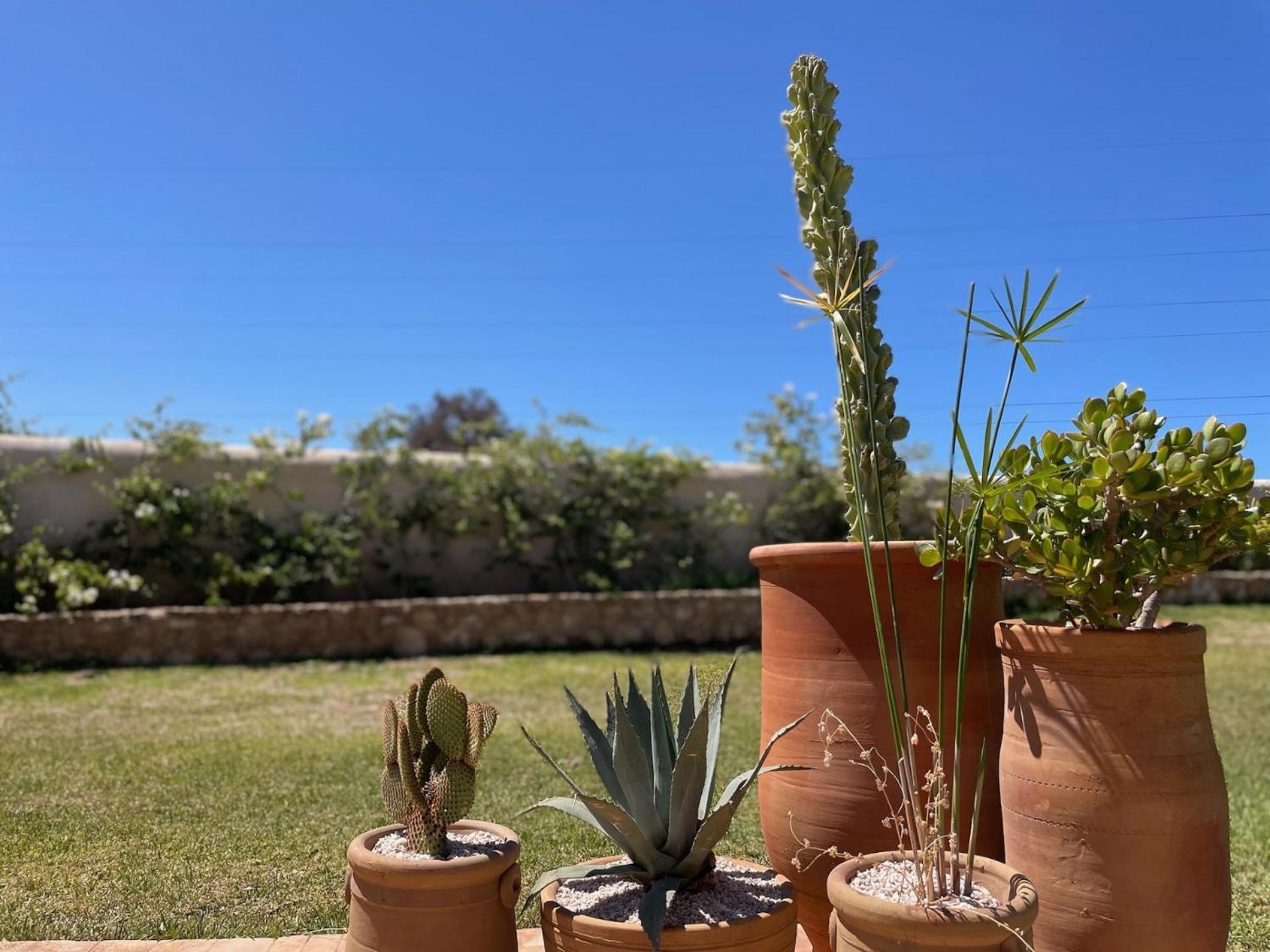 Riad Sabidi As-Sawíra Exteriér fotografie